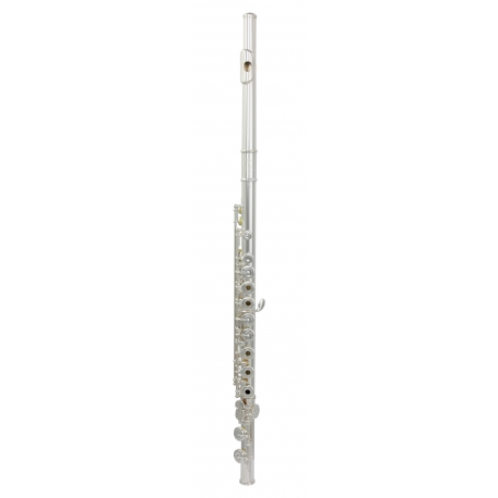 FLUTE TREVOR JAMES PRIVILEGE 31PFR