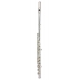 FLUTE TREVOR JAMES RECITAL 6TCR2S-R