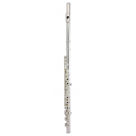 FLUTE TREVOR JAMES RECITAL 6TCR2S-R