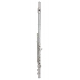 FLUTE TREVOR JAMES RECITAL 6TCR3S-R