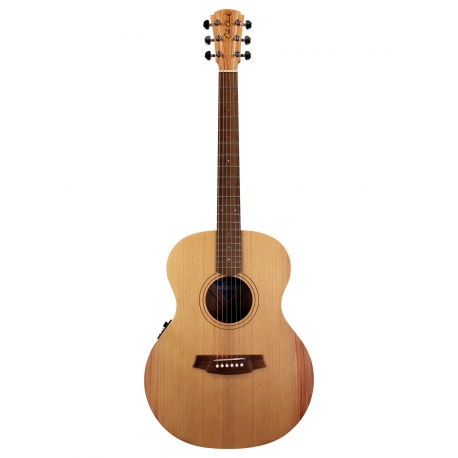 GUITARE COLE CLARK AN1E, ETUI