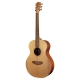 GUITARE COLE CLARK AN1E, ETUI