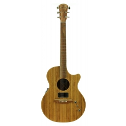 GUITARE COLE CLARK AN2EC HUM, ETUI