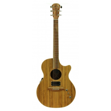 GUITARE COLE CLARK AN2EC HUM, ETUI