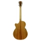 GUITARE COLE CLARK AN2EC HUM, ETUI