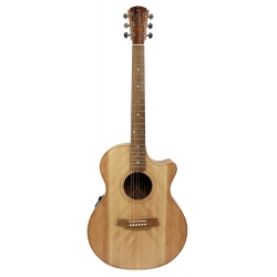 GUITARE COLE CLARK AN2EC, ETUI