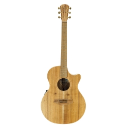 GUITARE COLE CLARK AN2EC, ETUI