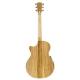 GUITARE COLE CLARK AN2EC, ETUI