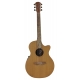 GUITARE COLE CLARK AN2EC, ETUI
