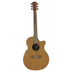 GUITARE COLE CLARK AN2EC, ETUI