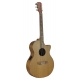 GUITARE COLE CLARK AN2EC, ETUI