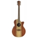 GUITARE COLE CLARK AN2EC, ETUI