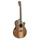 GUITARE COLE CLARK AN2EC, ETUI