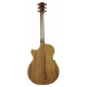 GUITARE COLE CLARK AN2EC, ETUI