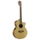 GUITARE COLE CLARK AN2EC, ETUI