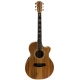 GUITARE COLE CLARK AN3EC, ETUI