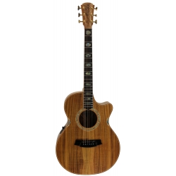 GUITARE COLE CLARK AN3EC, ETUI