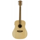 GUITARE COLE CLARK FL1E, ETUI
