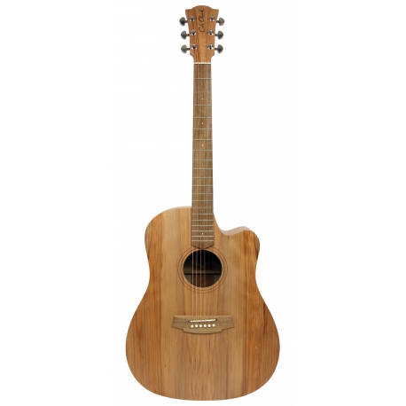 GUITARE COLE CLARK FL1EC, ETUI