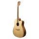 GUITARE COLE CLARK FL1EC, ETUI
