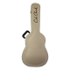 GUITARE COLE CLARK FL1EC, ETUI