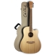 GUITARE COLE CLARK FL1EC, ETUI