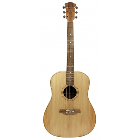 GUITARE COLE CLARK FL2E, ETUI