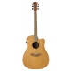 GUITARE COLE CLARK FL2EC, ETUI