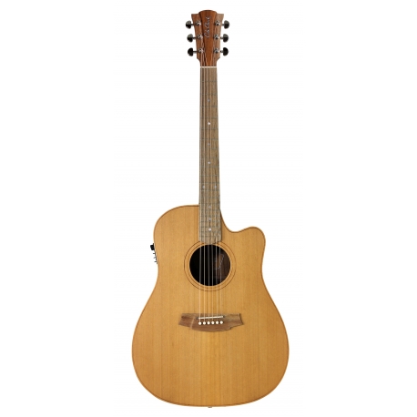 GUITARE COLE CLARK FL2EC, ETUI