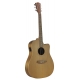 GUITARE COLE CLARK FL2EC, ETUI