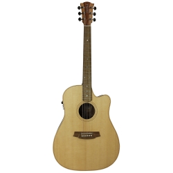 GUITARE COLE CLARK FL2EC, ETUI