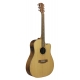 GUITARE COLE CLARK FL2EC, ETUI