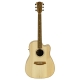 GUITARE COLE CLARK FL2EC, ETUI