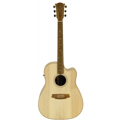 GUITARE COLE CLARK FL2EC, ETUI