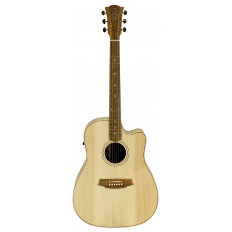 GUITARE COLE CLARK FL2EC, ETUI