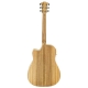 GUITARE COLE CLARK FL2EC, ETUI