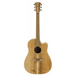 GUITARE COLE CLARK FL2EC, ETUI