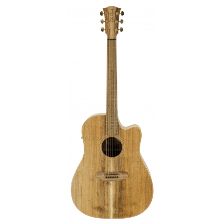 GUITARE COLE CLARK FL2EC, ETUI