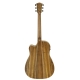GUITARE COLE CLARK FL2EC, ETUI