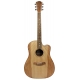 GUITARE COLE CLARK FL2EC, ETUI