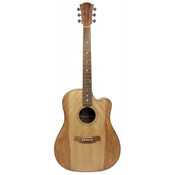 GUITARE COLE CLARK FL2EC, ETUI