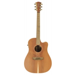 GUITARE COLE CLARK FL2EC, ETUI