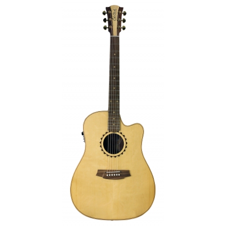 GUITARE COLE CLARK FL2EC, ETUI