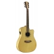 GUITARE COLE CLARK FL2EC, ETUI