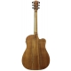 GUITARE COLE CLARK FL2EC, GAUCHER, ETUI