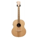 GUITARE COLE CLARK LL2E, ETUI