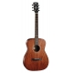 GUITARE CORT AF510 ACAJOU