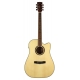GUITARE CORT EARTH GRAND BLACKWOOD