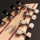 GUITARE CORT KX508MS 8 CORDES