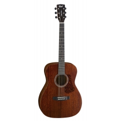 GUITARE CORT LUCE L450CL NATUREL SATINE